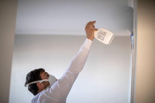 Trusted Wells Branch, TX Mold Remediation Experts