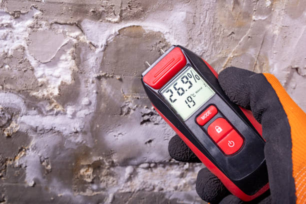 Best Insurance-Related Mold Remediation in Wells Branch, TX
